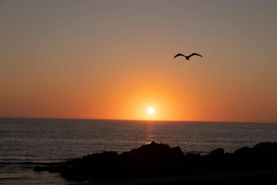 portugal beach sunset