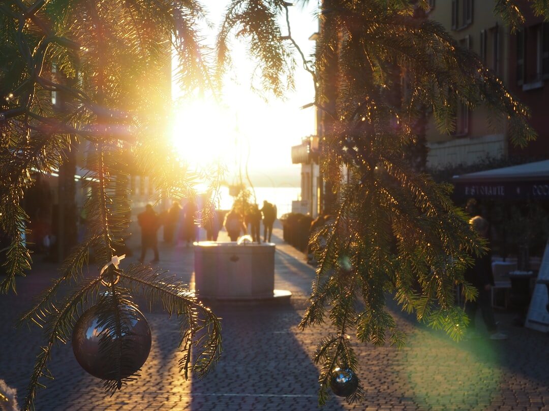 Sunny coastal town square with older couple walking in golden light